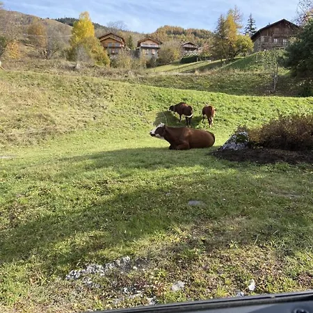 Les Menuires - 4 Personnes A 20 M Des Pistes *