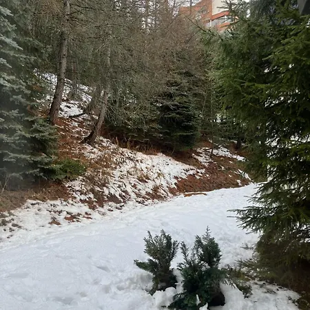 Les Menuires - 4 Personnes A 20 M Des Pistes